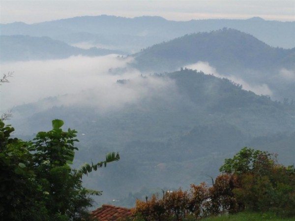 Hills of Rwanda