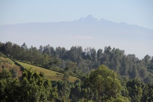 14.03.03 Loc  Mt Kenya (Large)