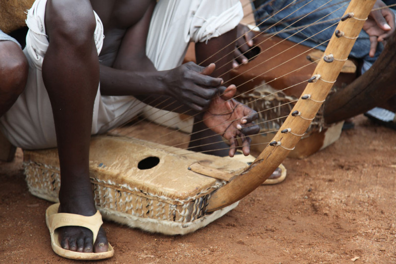Adungu harp new arrivals